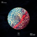 Enai - Into the Wild (Danito & Athina Remix)