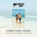 Hybrid Funk Theory - Coming Home (Original Mix)