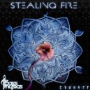 Bass Physics & Evanoff - Stealing Fire