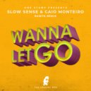 Slow Sense & Caio Monteiro - Wanna Let Go (Rawtk Remix)