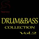 V.S.D - Brain Crusher (Original Mix)