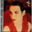 Annie Lennox - Little Bird (Danny White Remix)