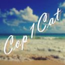 Cop1Cat - You Give Me (Original Mix)