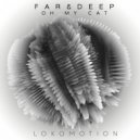 Far & Deep - Oh My Cat