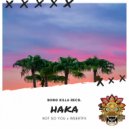 Not So You & InsertFX - Haka