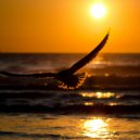 IL\'NUR - Balance \'Sounds Of The Sea Chillout\' (Mix)