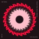 Pat King - Noises From Above