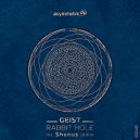 Geist - Rabbit Hole (Shunus Remix)