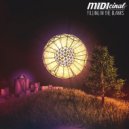 MIDIcinal - What's It Gonna Be