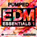 EDM Master - PUMPED - EDM Essentials 1 | 6,11 GB Of Sounds, Kits & Presets! (Original Mix)