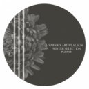 Slypro - Olinda