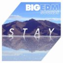 EDM Tester - [Melbourne Bounce] IBIA - Glass (feat. Alex) (Original Mix)