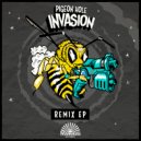 Pigeon Hole - Invasion