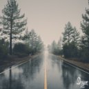 Gorgeous George - H Town Swagg