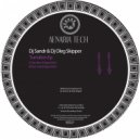 Dj Sandr & Dj Oleg Skipper - Flash mob