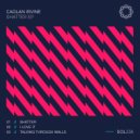 Caolan Irvine - I Love It (Original Mix)