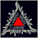 FLASH - Flashing State 020