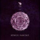 Neptune (ZA) - Falling Star (Original Mix)