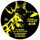Tomawok - My Sound (Benny Page Remix)