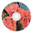 Teenage Touch - A Tropical Monsoon