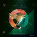 Vruno - Bajando del Arbol