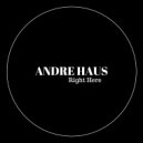 Andre Haus - Right Here (original mix)