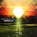 Bunny Tunes, Tiana - Wonderful Life (Original Mix)