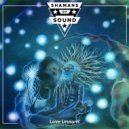 Shamans of Sound - Love Lessons (Instrumental)