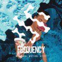 Mystical Motion & Vitti - Frequency