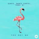 OLWIK, Dance Cartel, Terri B! - You Got Me (Extended Mix)