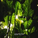 Draud - Feelings