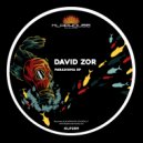 David Zor - Aint I A Woman (Original mix)