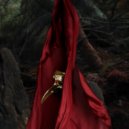 Claptone, Clap Your Hands Say Yeah - Animal (Henrik Schwarz Remix)