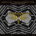 Nirgoona Project - Transformation (Original mix)