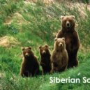 AndreyTus - Siberian Soul vol 31 ()