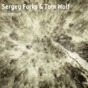 Sergey Forks & Tom Wolf - Insomnia (Senves Remix)