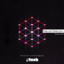 Doctor Jeep - Natural Selection (Original Mix)