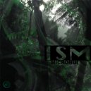 Ism - Echo Flex (Original Mix)
