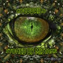 Cocodrilo & Akromode - Stoned By Mistake (Original mix)