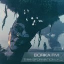 Borka FM - This Feeling
