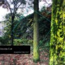 Davide Cali - Flux (Original mix)