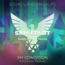 Sam Feldt vs Robbie Rivera & Mamba - My Condition