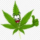 Funmaker - Cannabis Sativa (Original Mix)