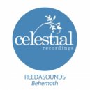 Reedasounds - Behemoth (Tom Finn Remix)