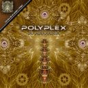 Polyplex - One Night With Molly (Dark Version)