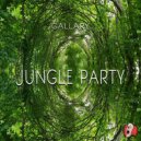 Gallary - Hypercubices