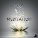 Draud - Transcendental