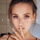 Asher x Inna - Iguana