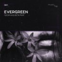 GeoM & Beta Max - Evergreen