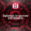 Gentle Hint - Optimist in sorrow